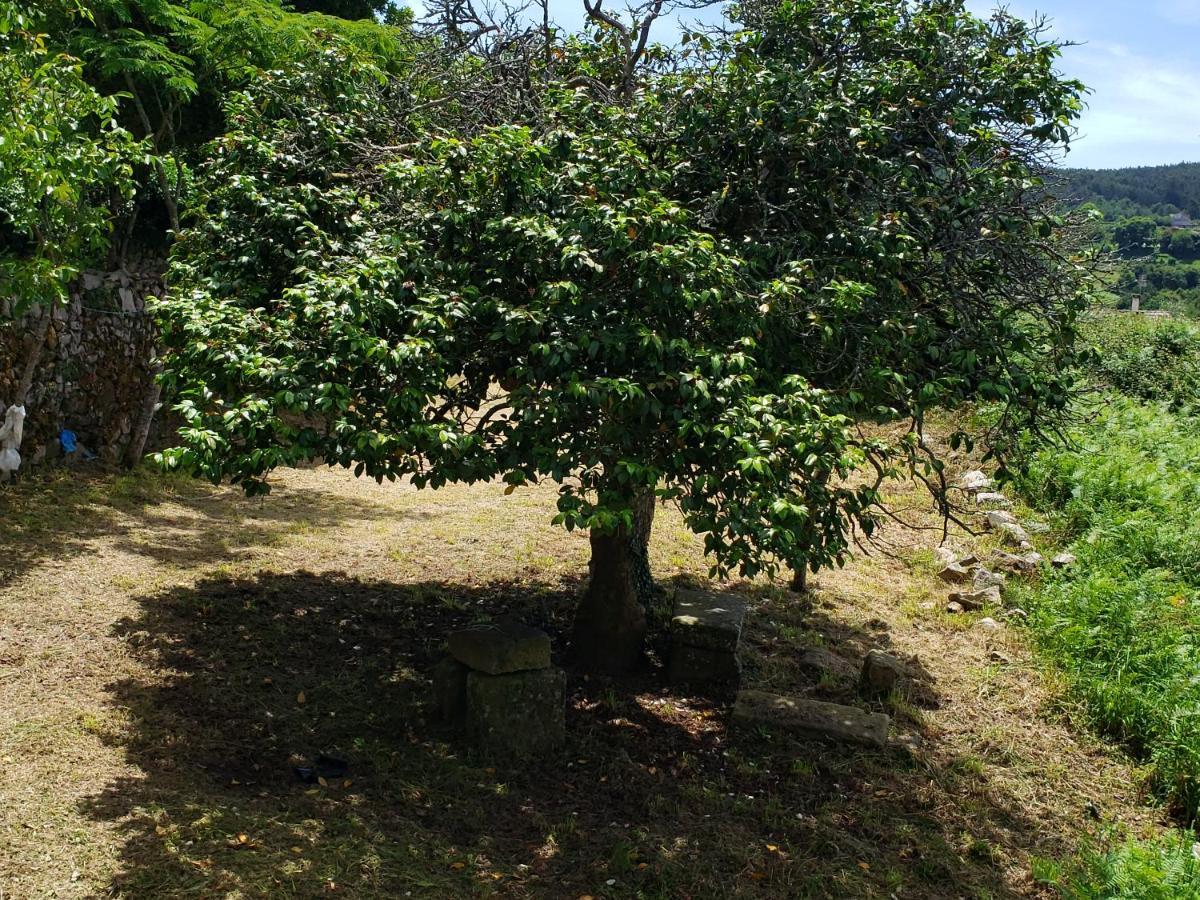 庞特维德拉 Casa Rural Do Fontan旅馆 外观 照片